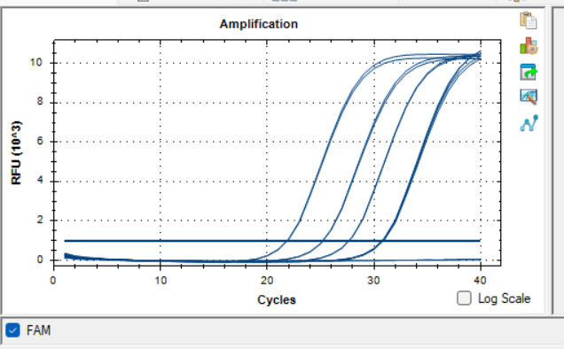 Ordinary Proteus vulgaris deoxyribonucleic acid liquid indoor quality control product-BNCC