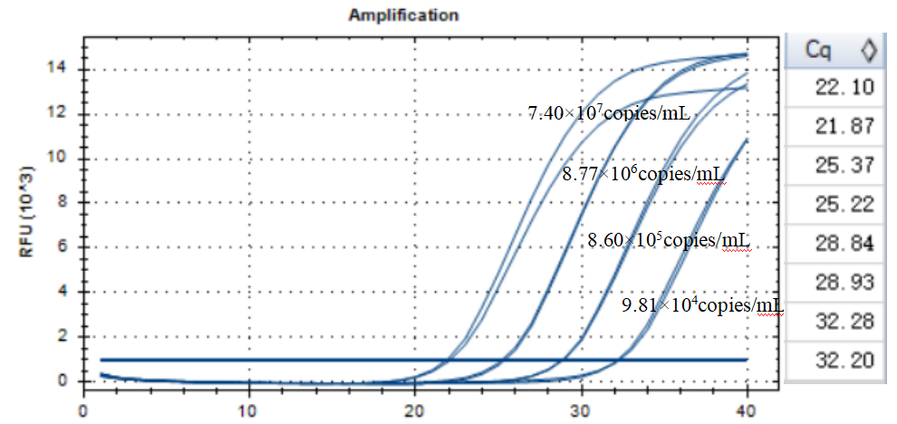 Extended Short Bacteroidetes DNA Standard-BNCC