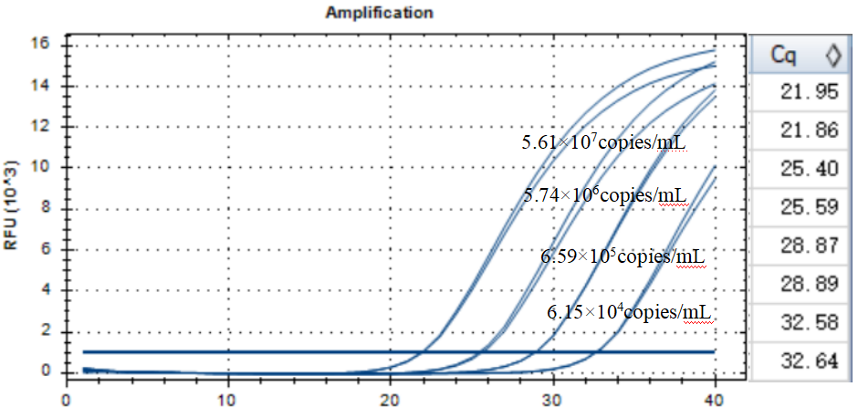 Yishi actinomycete DNA standard-BNCC