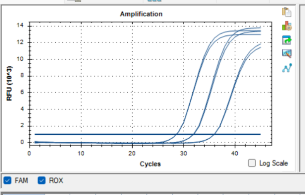 Monkey rotavirus RNA standard-BNCC