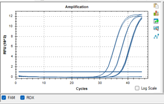 Simian rotavirus RNA lab quality control-BNCC