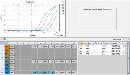 Lactobacillus murinus DNA lab quality control-BNCC