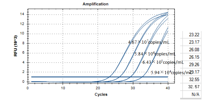 Occasional Mycobacterium subspecies DNA standard-BNCC