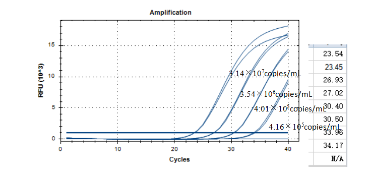 Occasional mycobacterial acetamide subsp. DNA standard-BNCC
