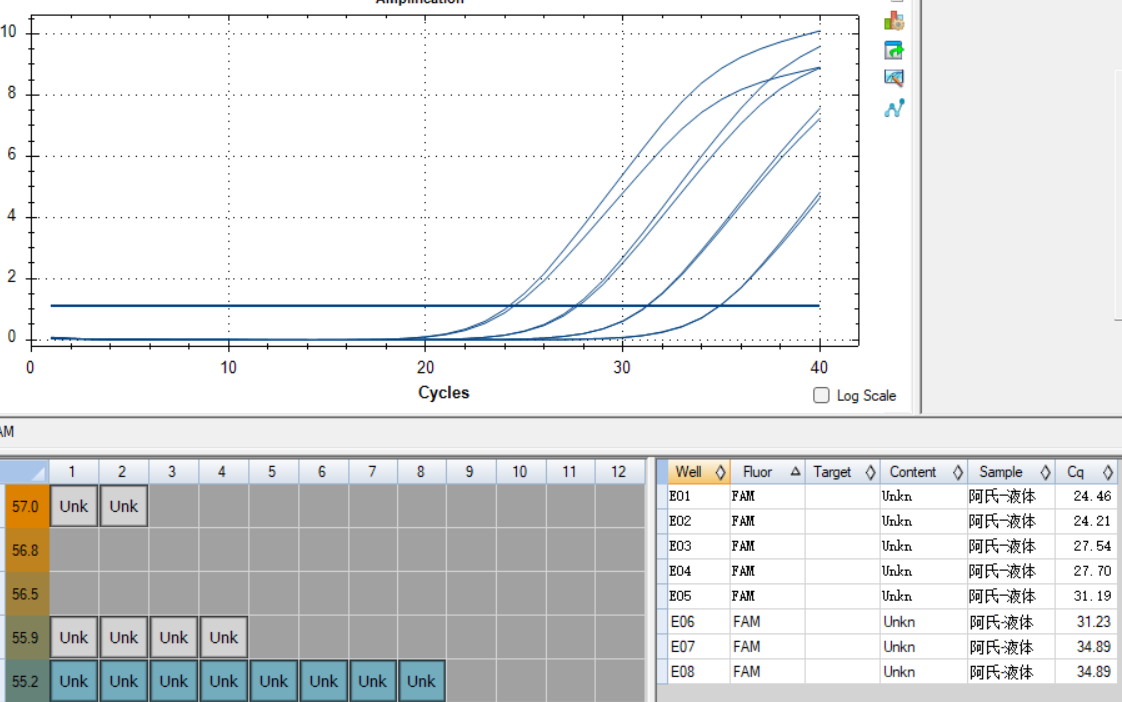 Escherichia coli DNA standard-BNCC