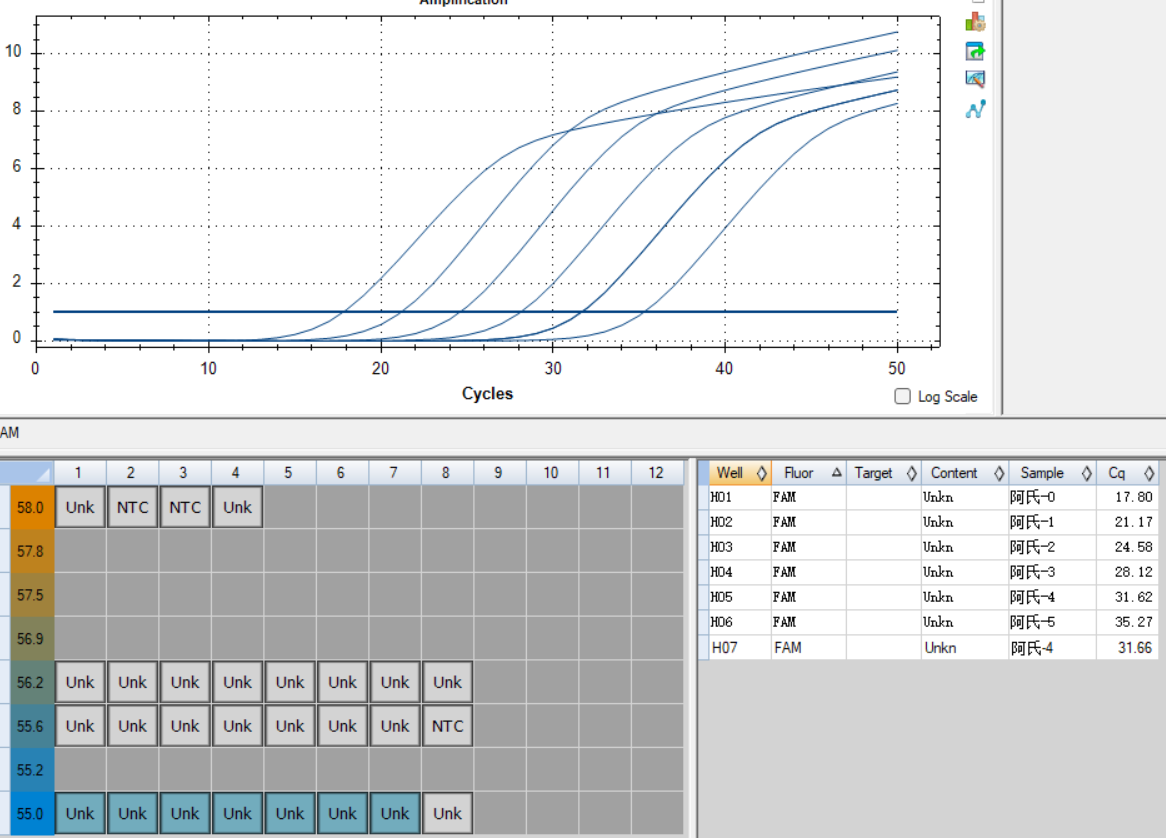 Escherichia coli DNA standard-BNCC