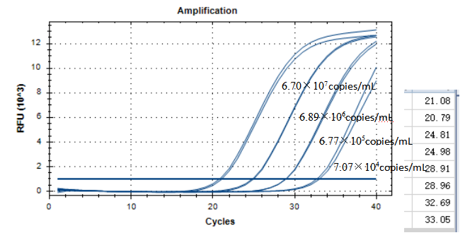 Intracellular Mycobacterium subsp. DNA standard-BNCC