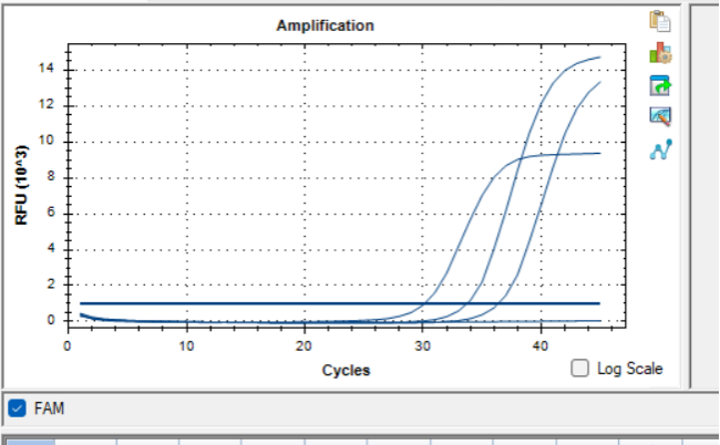 Mammalian Prokaryotic Virus Type 1 RNA Standard-BNCC