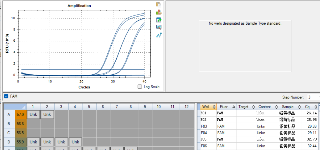 Lead yellow Enterococcus DNA standard-BNCC