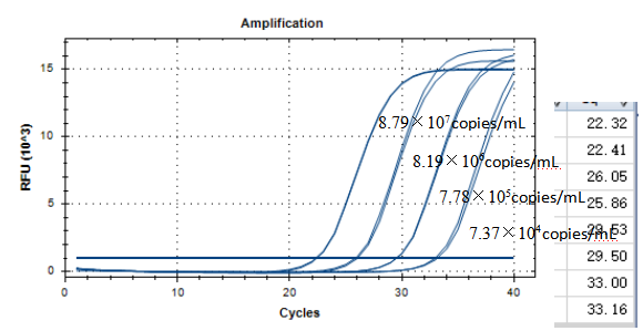 Clinic Acinetobacter DNA standard-BNCC
