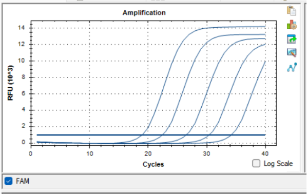 DNA standard of Colletotrichum sp.-BNCC