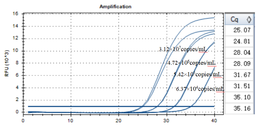 Indoor quality control material for human echovirus 26 ribonucleic acid liquid-BNCC