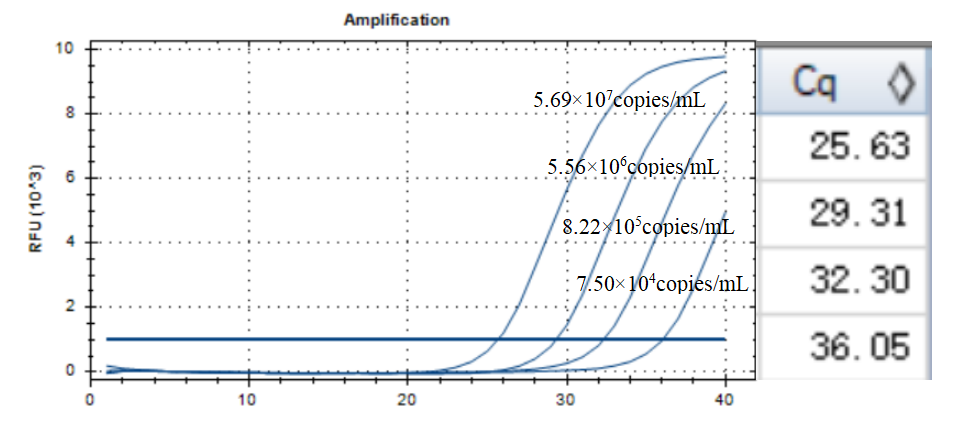 Human echovirus 29 RNA standard-BNCC