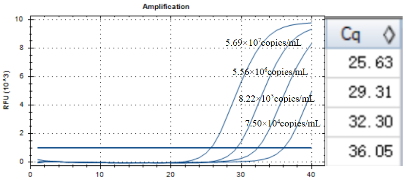 Human echovirus 29 RNA standard-BNCC