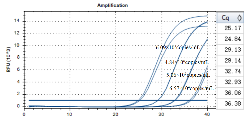 Human echovirus 26 RNA standard-BNCC