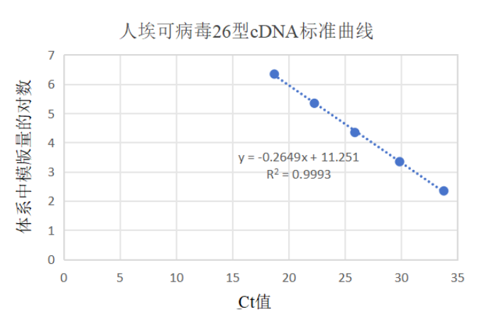 Human echovirus 26 RNA standard-BNCC