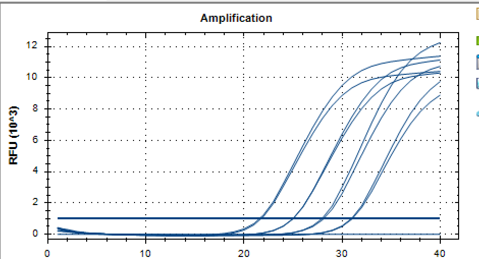 Group A Streptococcus deoxyribonucleic acid liquid indoor quality control samples (5 concentrations)-BNCC