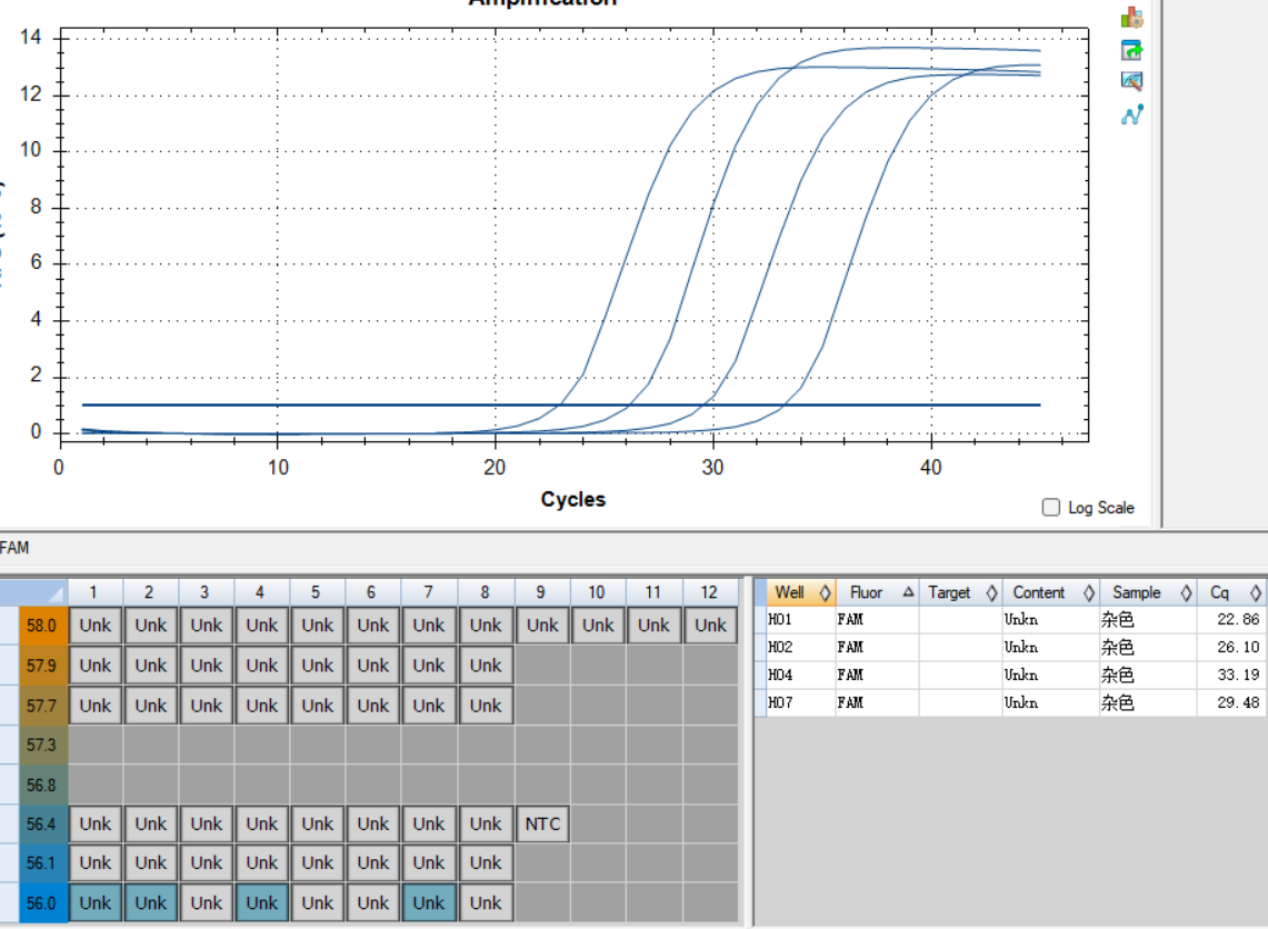 DNA standard of Aspergillus versicolor-BNCC