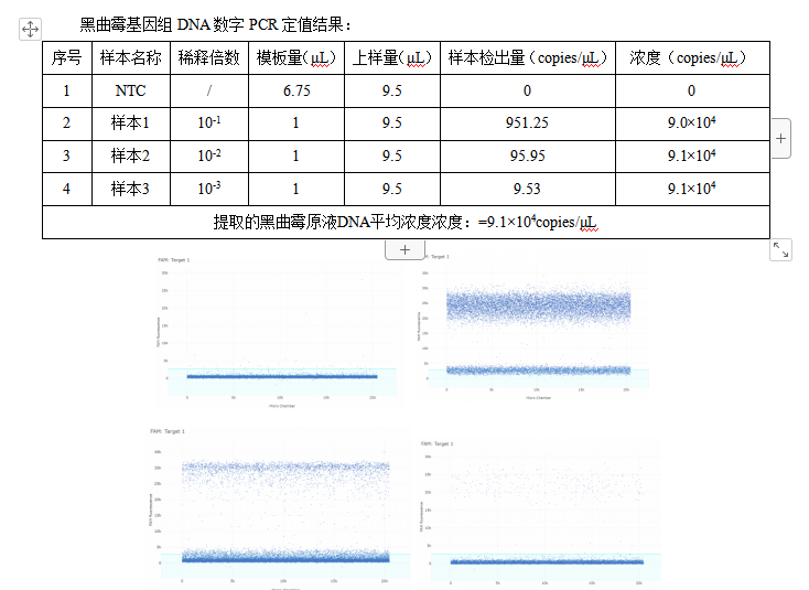 Aspergillus DNA standard (3 concentrations)-BNCC