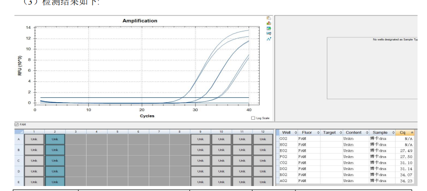 Bocavirus DNA Standard-BNCC