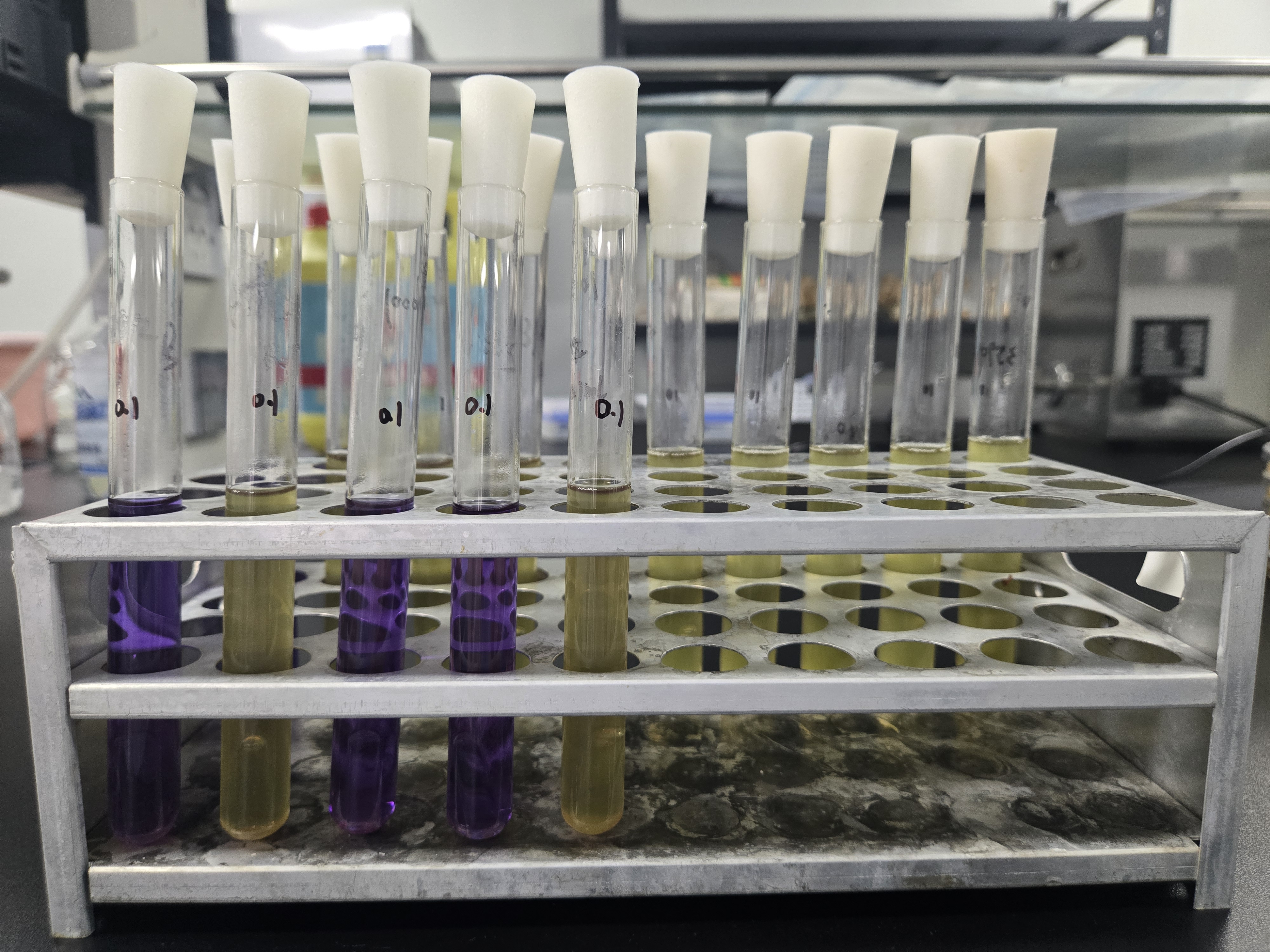 Urban sludge fecal coliform quality control sample (multi tube fermentation method)-BNCC