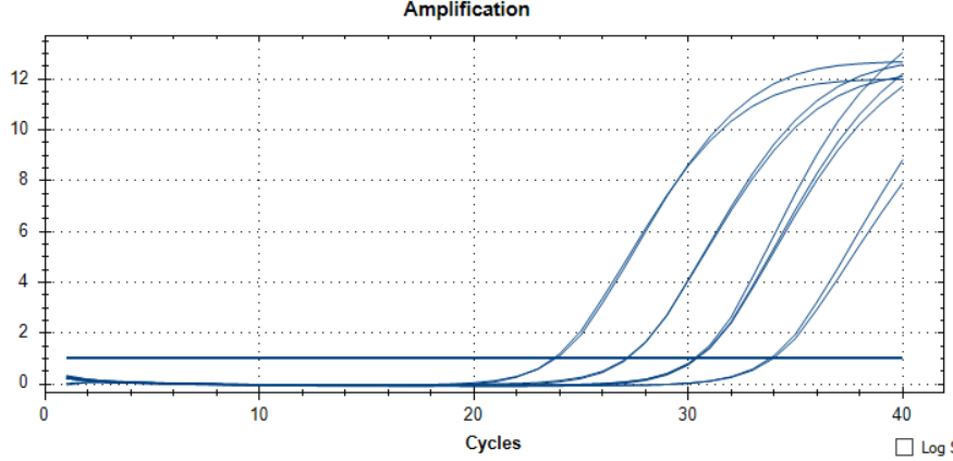 Mycobacterium tuberculosis IS6110 gene detection plasmid DNA standard substance-BNCC