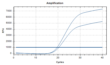 Fragile Bacteroides DNA standard-BNCC