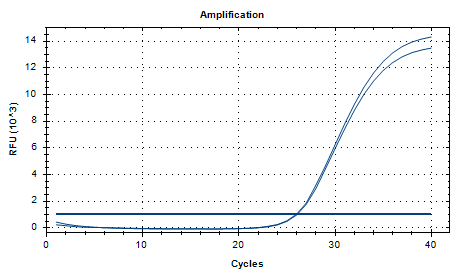 Reference material for Mycoplasma hyopneumoniae (Heat-inactivated) (strongly positive)-BNCC