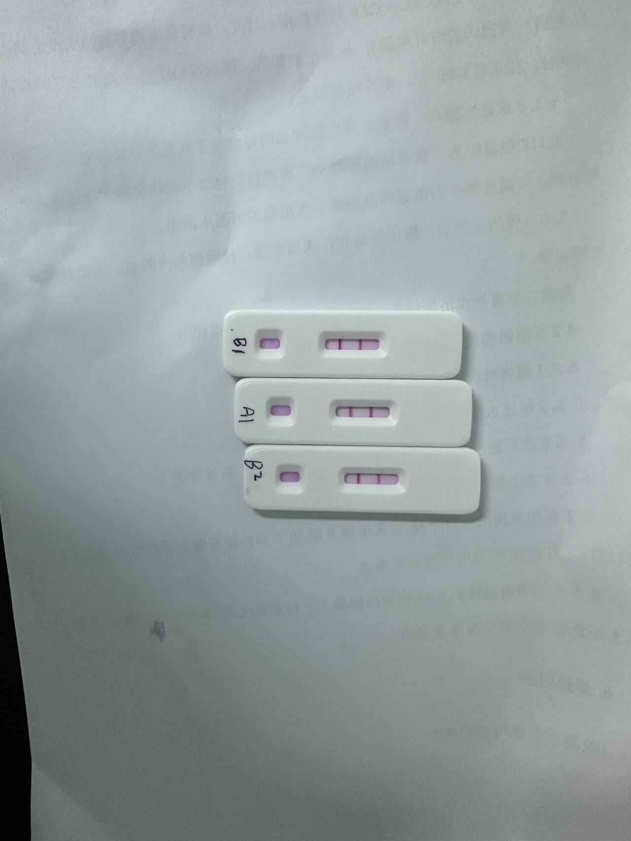 Reference substance for human partial lung virus B1 nucleic acid (Heat-inactivated) (strongly positive)-BNCC