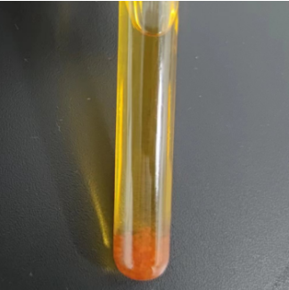 Bifidobacterium longum DNA Liquid Internal Quality Control Material-BNCC