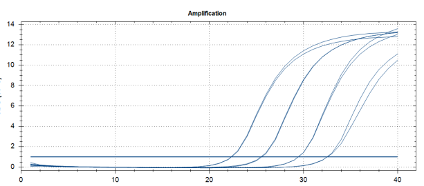 Human Adenovirus 22 DNA Standard-BNCC
