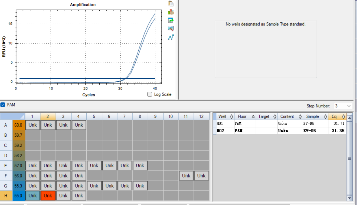 Enterovirus Generic RNA Standard-BNCC
