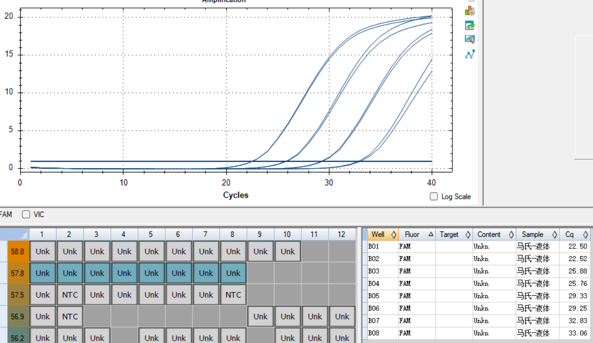 DNA standard of Mycobacterium mageritense-BNCC