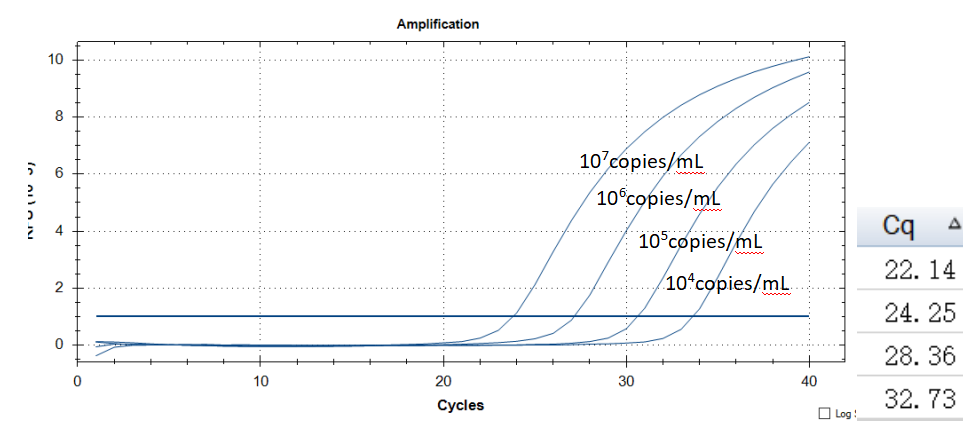 Human Herpesvirus 8 DNA Standard-BNCC