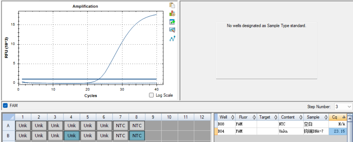 Pathogenic Leptospira 16s gene plasmid DNA standard-BNCC