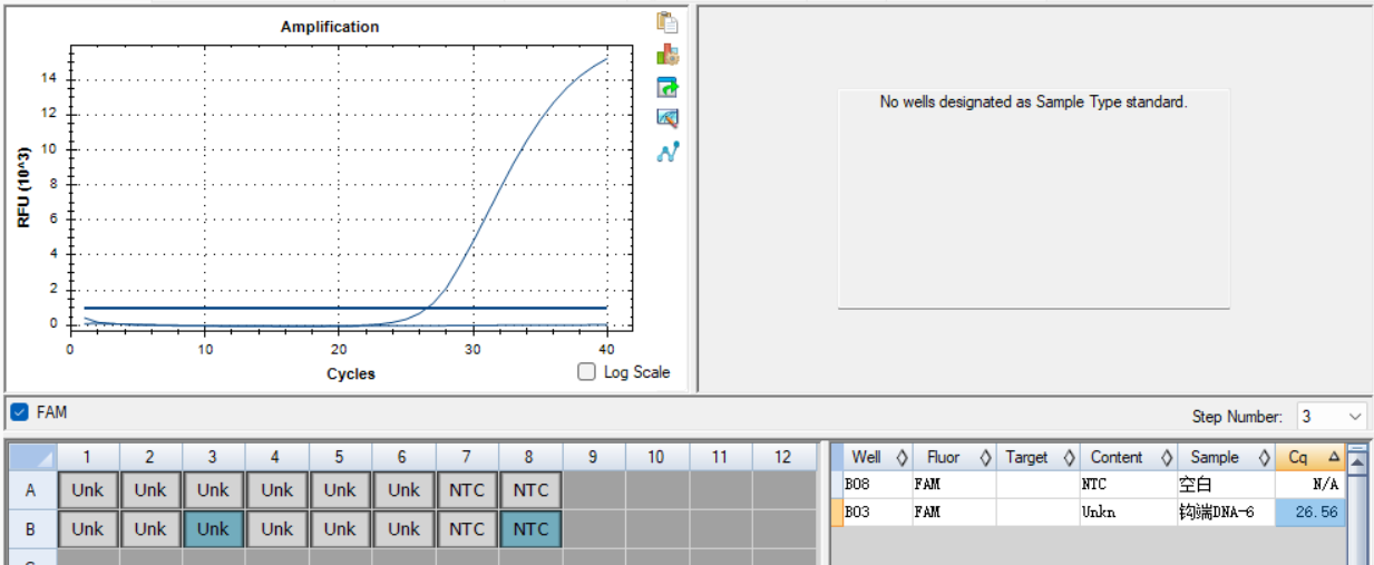 Pathogenic Leptospira 16s gene plasmid DNA standard-BNCC