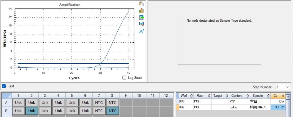 Pathogenic Leptospira 16s gene plasmid DNA standard-BNCC