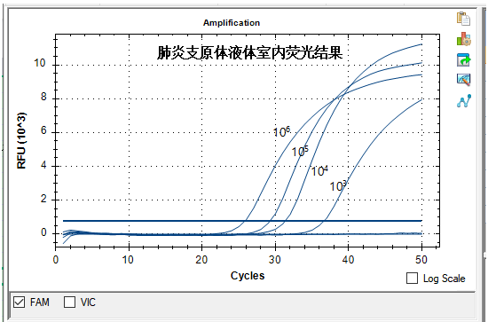 Pathogenic Leptospira Nucleic Acid Detection Kit (Fluorescent PCR Method)-BNCC