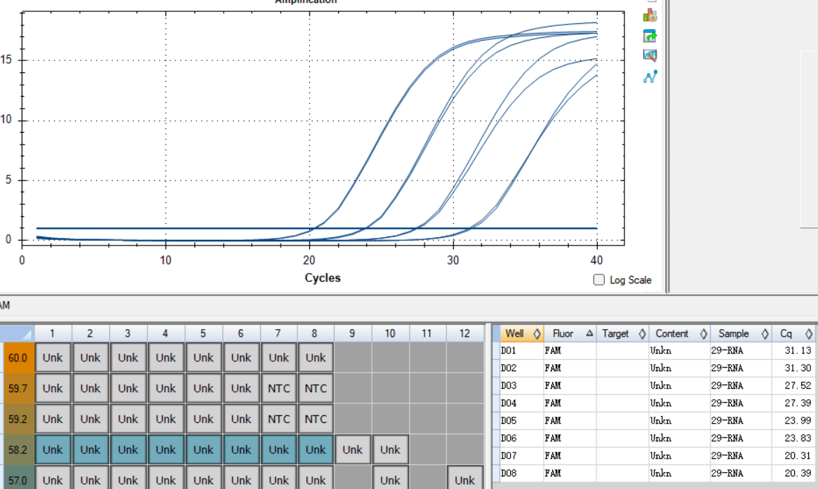 Human Rhinovirus 29 RNA Standard-BNCC