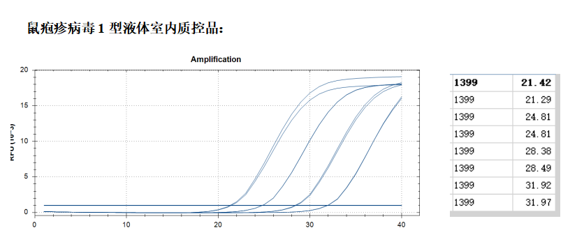 Mouse herpesvirus type 1 deoxyribonucleic acid liquid indoor quality control product-BNCC