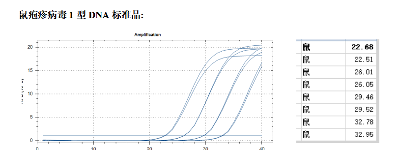 Mouse herpesvirus type 1 DNA standard-BNCC