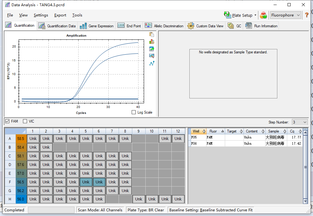 New Bunyavirus (Dabie Banda virus) nucleic acid reference-BNCC