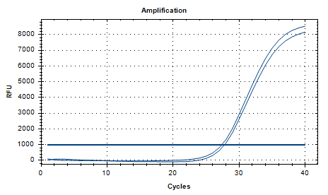 Reference substance for Aspergillus niger nucleic acid (Heat-inactivated) (strongly positive)-BNCC