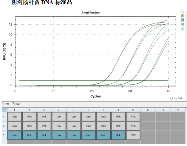 Indoor quality control product for deoxyribonucleic acid liquid of Escherichia coli-BNCC