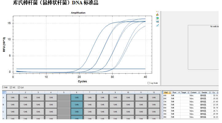 DNA standard of Corynebacterium kutscheri-BNCC