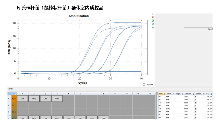 Corynebacterium kutscheri DNA lab quality control-BNCC