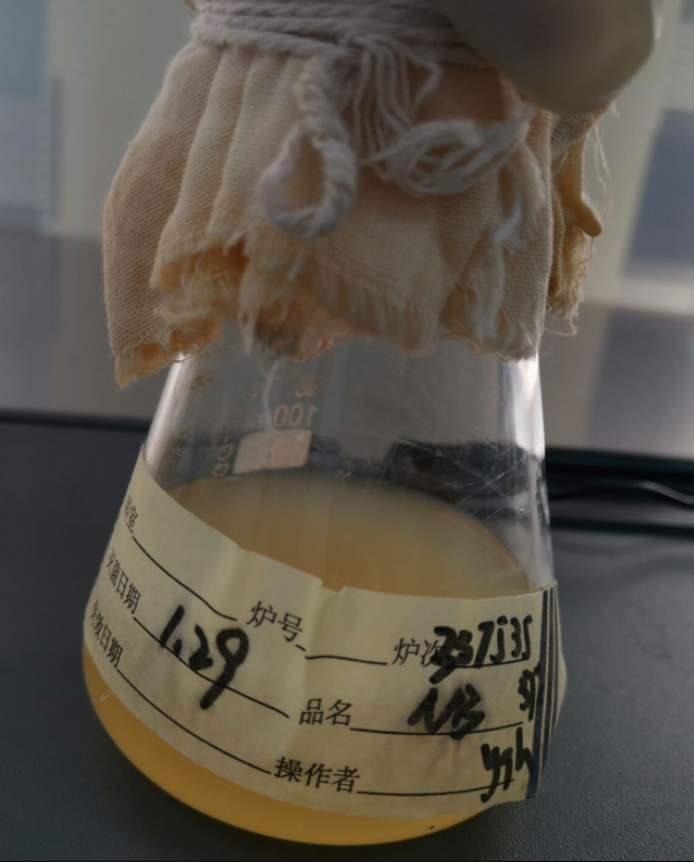 Corynebacterium kutscheri DNA lab quality control-BNCC