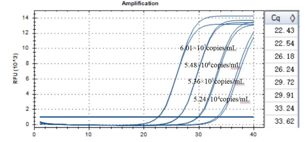 Liquefied Serratia DNA standard-BNCC