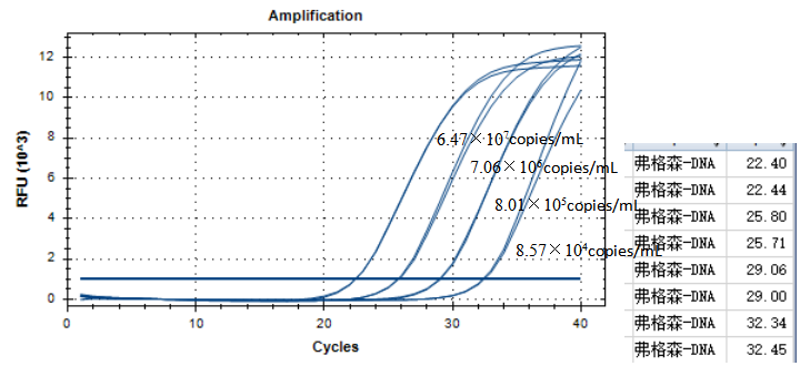 Ferguson Escherichia coli DNA standard-BNCC