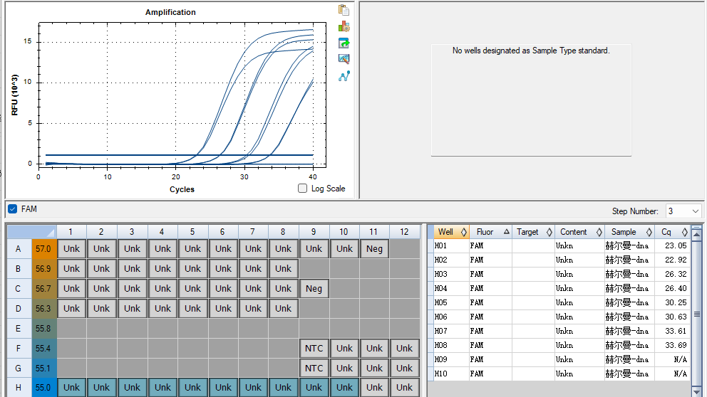 Hermann's Escherichia coli DNA standard-BNCC